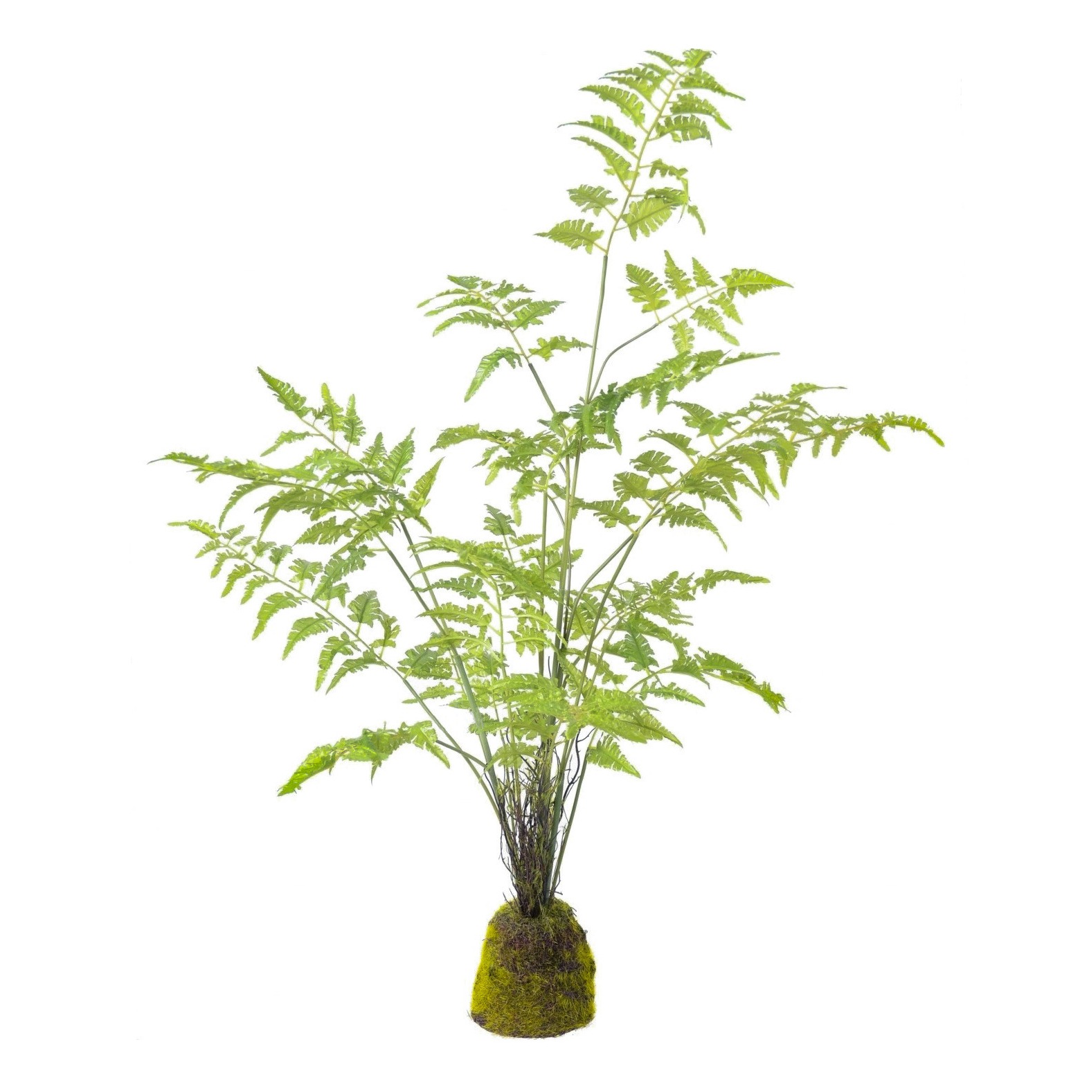 Fougère artificielle pot déco résine
