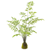 Fougère artificielle pot déco résine