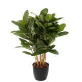 Ficus artificiel large robusta