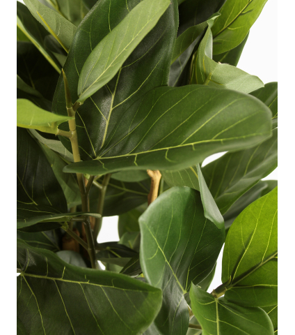 Ficus artificiel large robusta