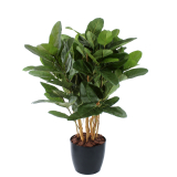 Ficus artificiel large robusta