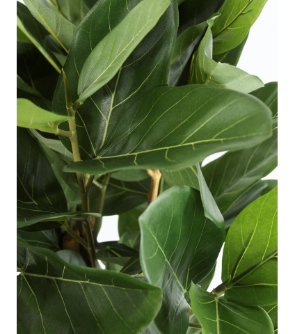 Ficus artificiel large robusta