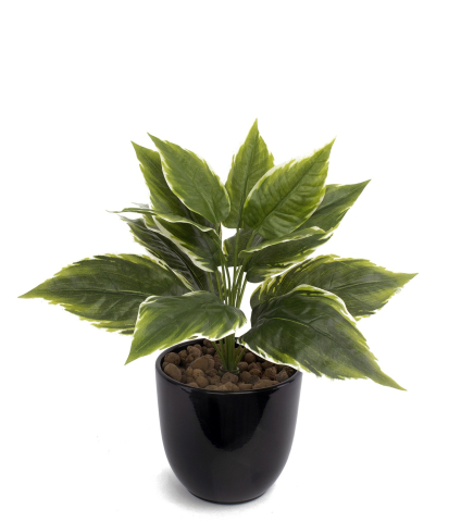 Alignement pot (ref 1284)