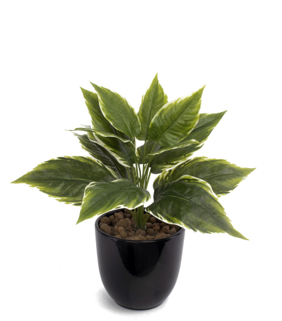 Alignement pot (ref 1284)