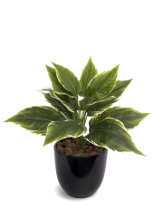 Alignement pot (ref 1284)