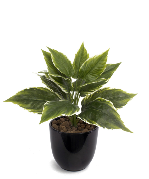 Alignement pot (ref 1284)
