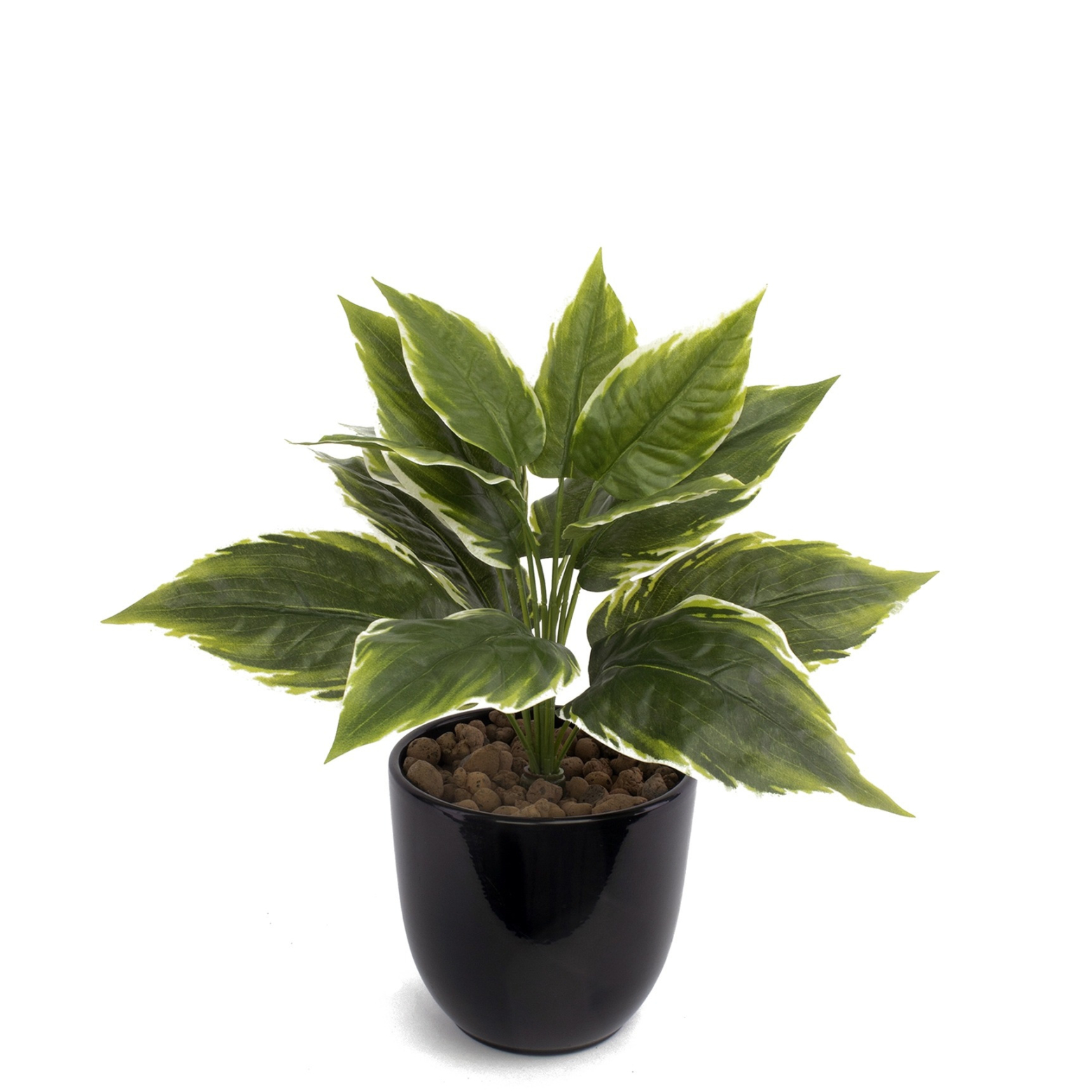 Alignement pot (ref 1284)