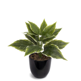 Alignement pot (ref 1284)