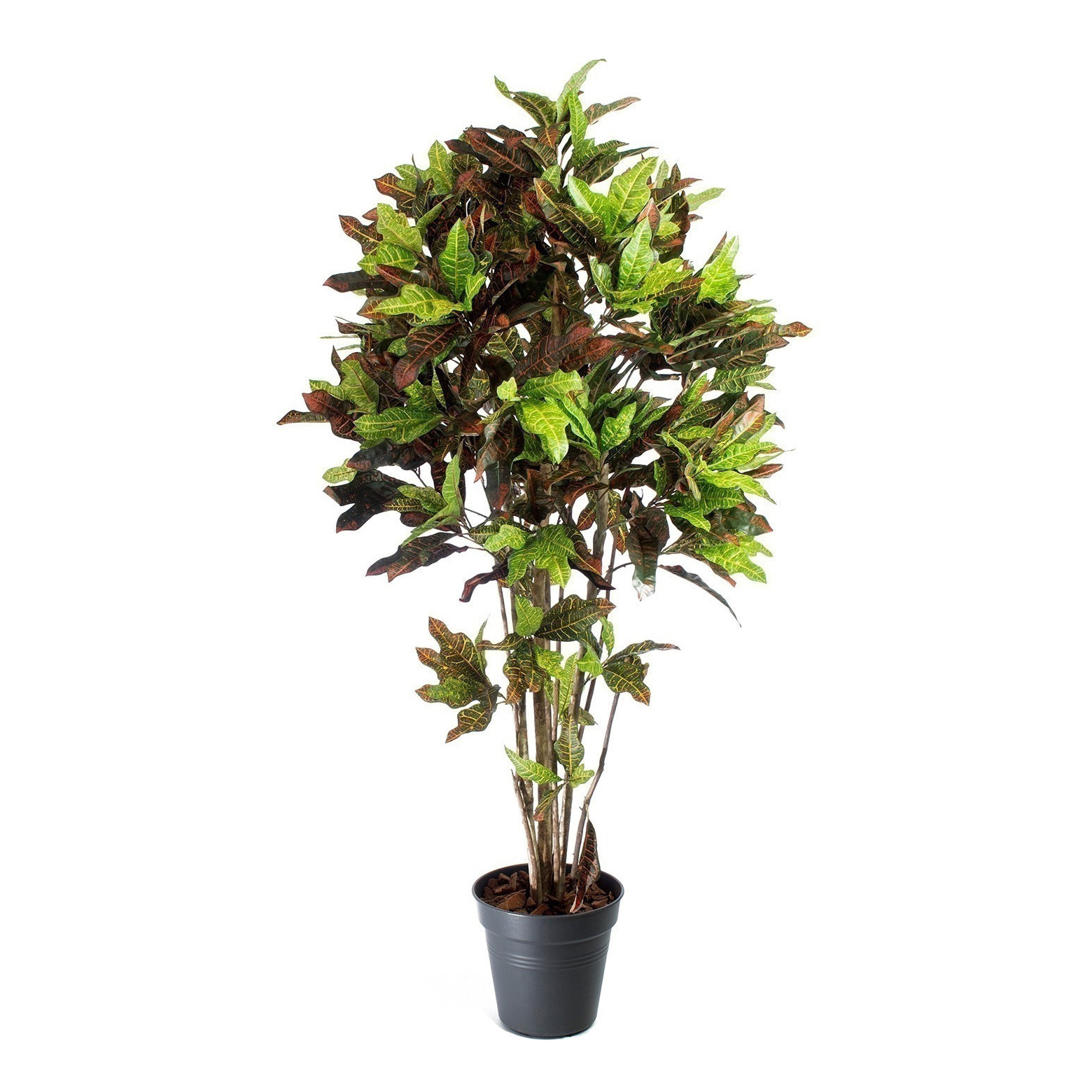 Croton artificiel