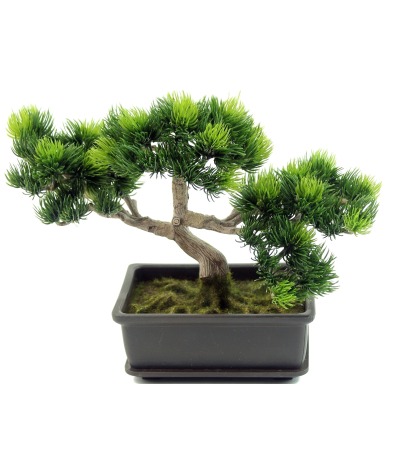 Bonsaï artificiel pinus