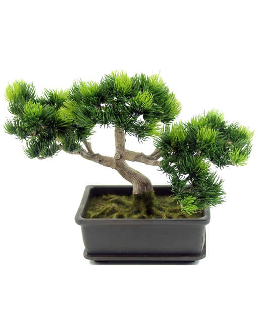 Bonsaï artificiel pinus