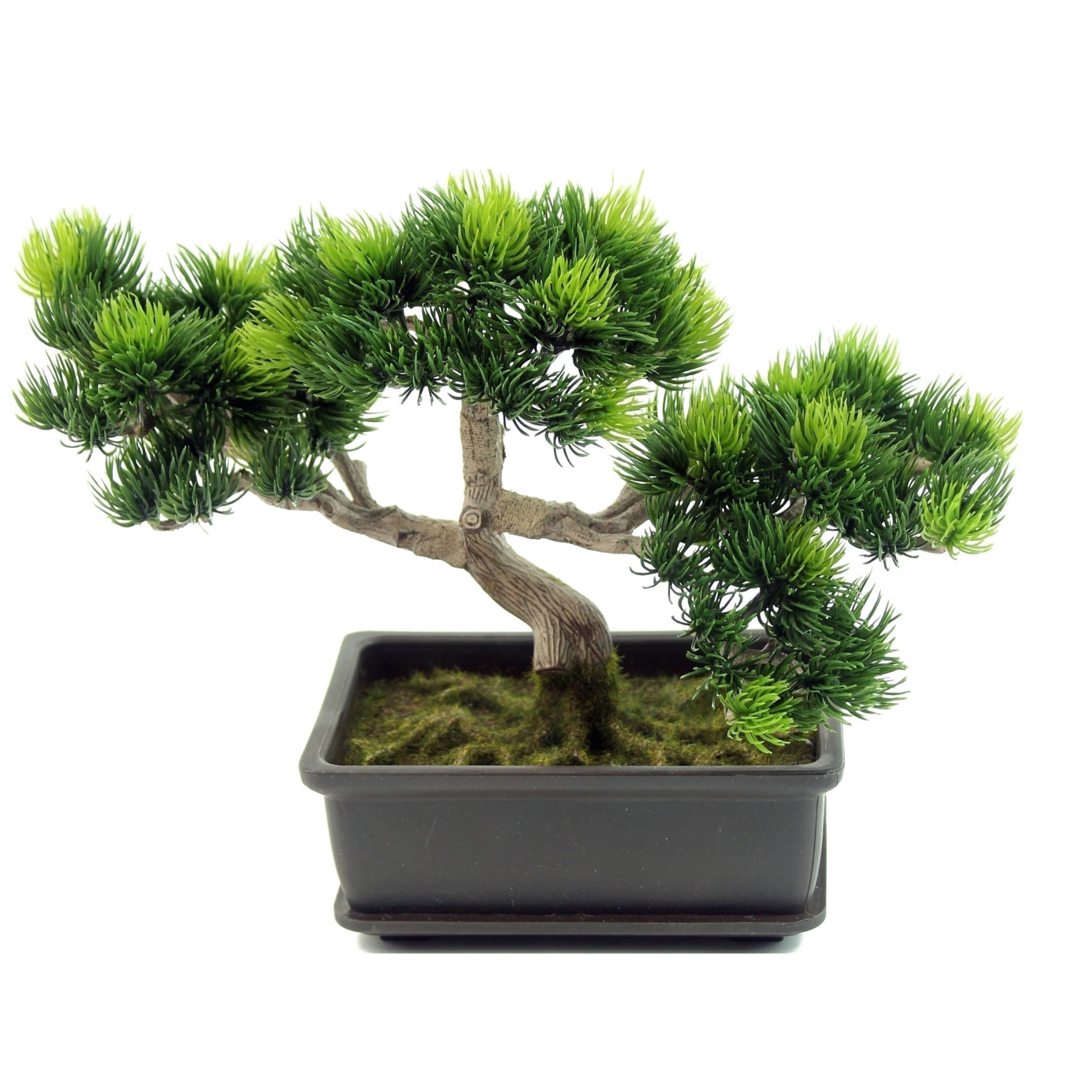Bonsaï artificiel pinus