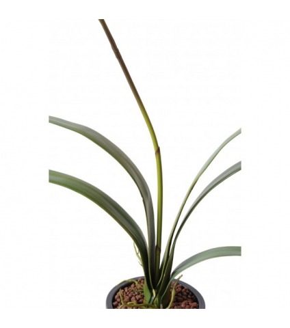 Cymbidium artificiel fleuri