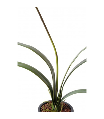 Cymbidium artificiel fleuri