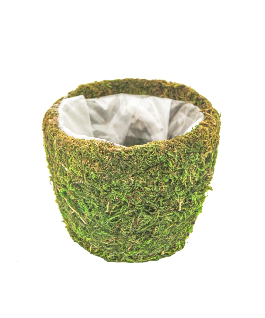 Cache-pot en mousse