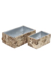 Mini jardinière écorce de bouleau
