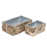 Mini jardinière écorce de bouleau