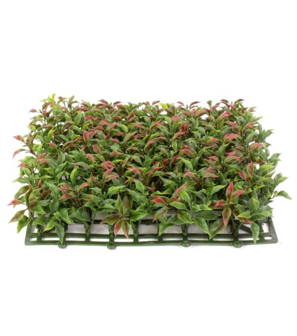 Plaque artificielle de ruscus