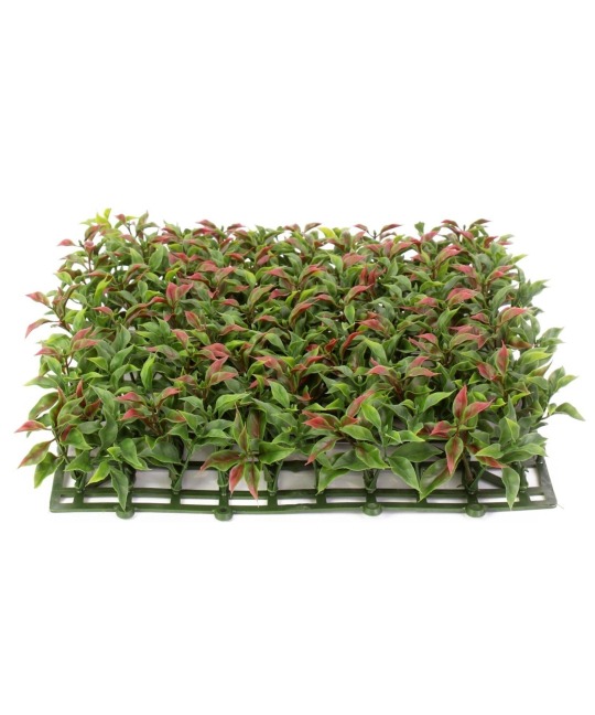 Plaque artificielle de ruscus