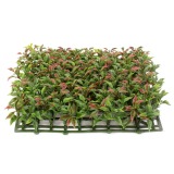 Plaque artificielle de ruscus
