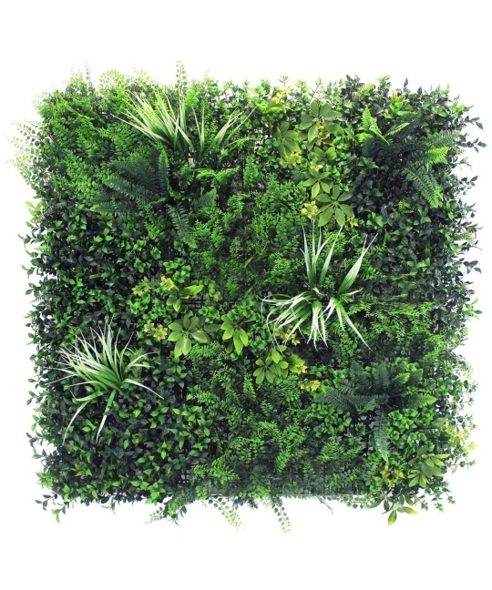 Mur végétal artificiel équateur