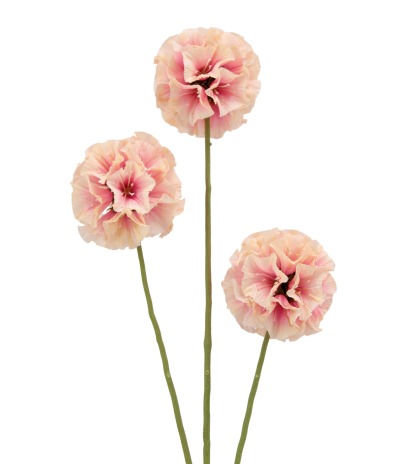 Scabieuse triandra rose artificielle
