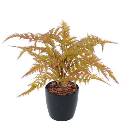 Fougère artificielle dryopteris cuivrée