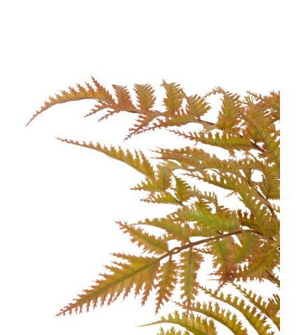 Fougère artificielle dryopteris cuivrée