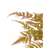 Fougère artificielle dryopteris cuivrée