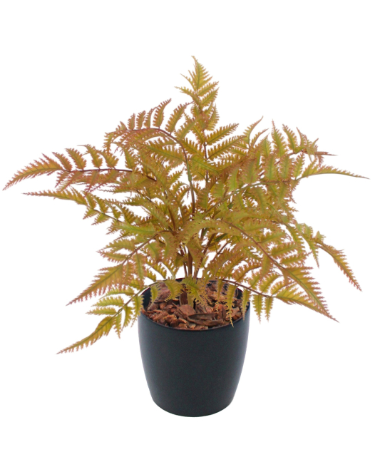 Fougère artificielle dryopteris cuivrée