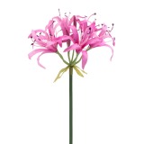 Nérine rose artificielle
