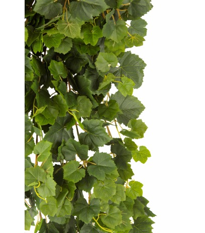 Chute de vigne artificielle verte
