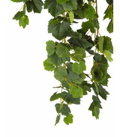 Chute de vigne artificielle verte