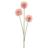 Scabieuse triandra rose artificielle