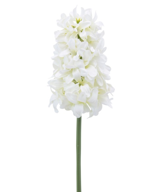 Jacinthe blanche artificielle