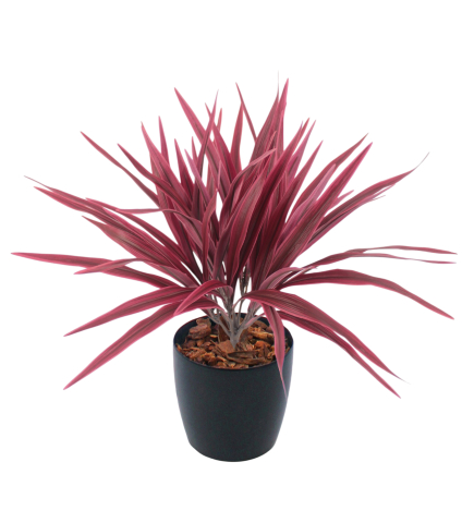 Chlorophytum artificiel rouge