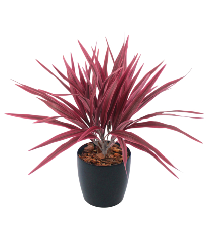 Chlorophytum artificiel rouge