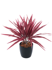 Chlorophytum artificiel rouge