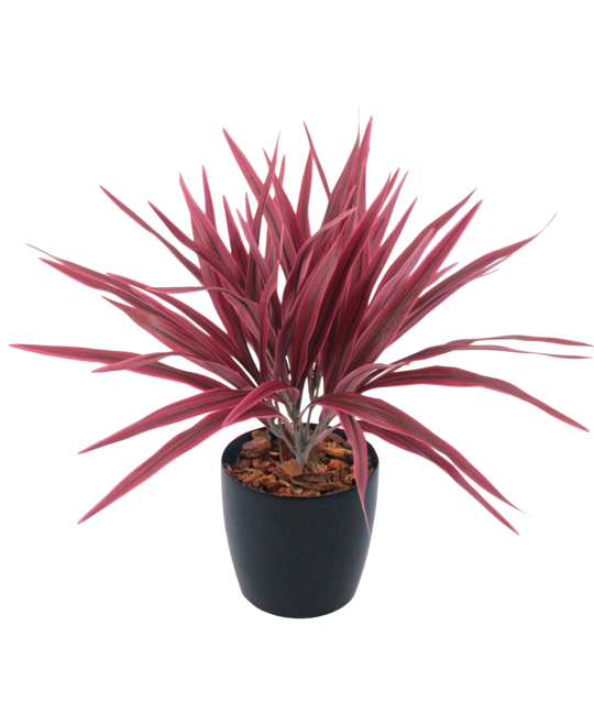 Chlorophytum artificiel rouge
