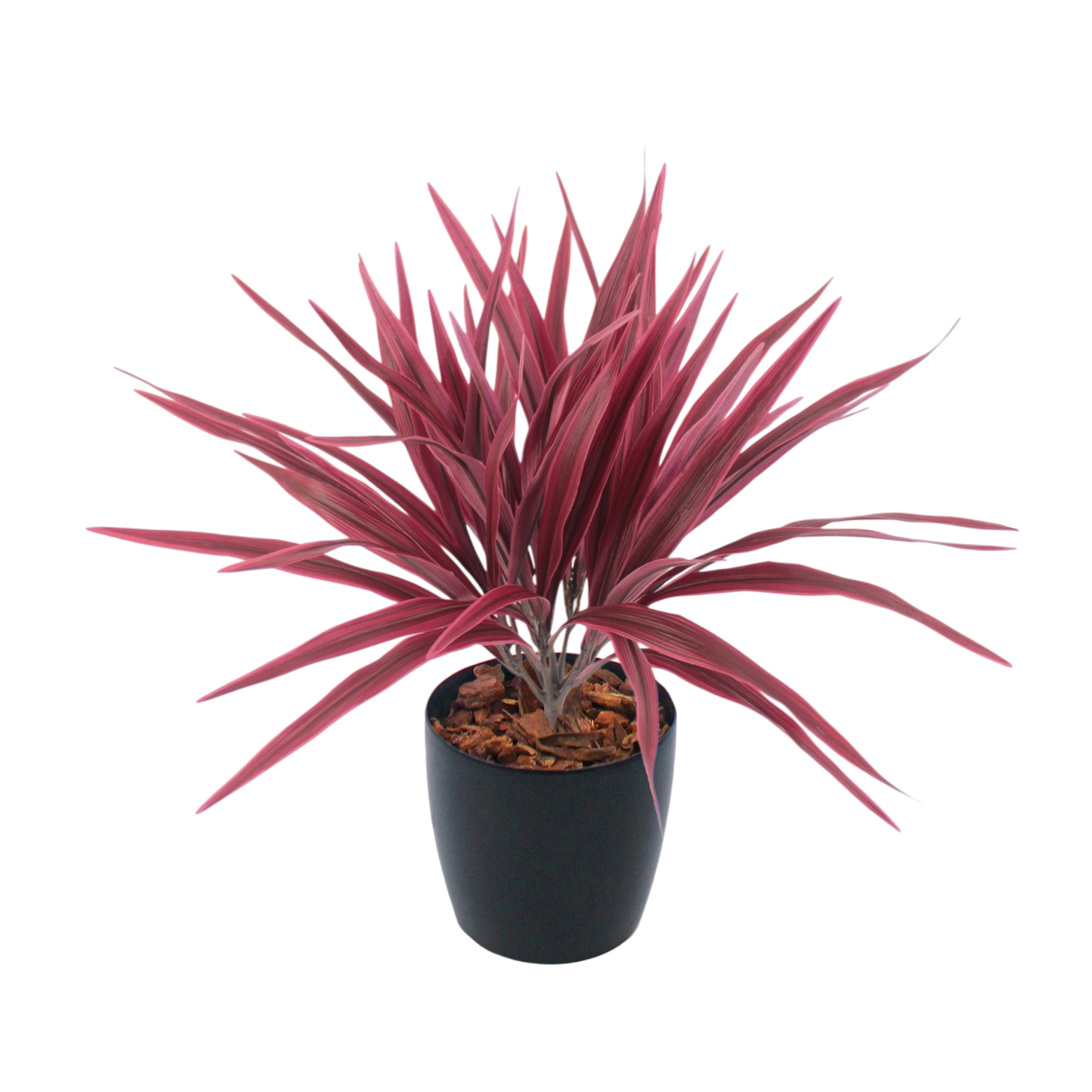 Chlorophytum artificiel rouge