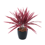 Chlorophytum artificiel rouge