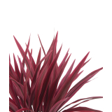 Chlorophytum artificiel rouge