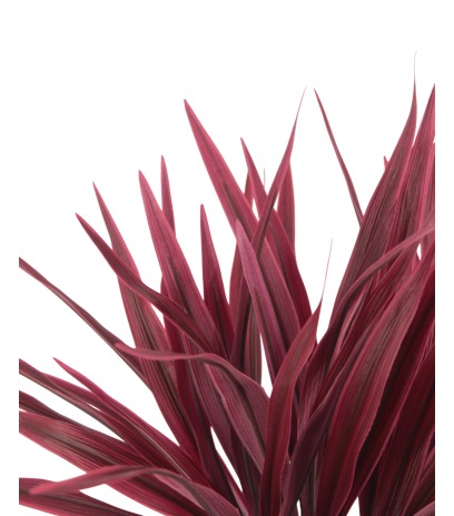 Chlorophytum artificiel rouge