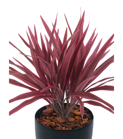 Chlorophytum artificiel rouge