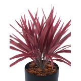 Chlorophytum artificiel rouge