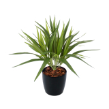 Chlorophytum artificiel vert