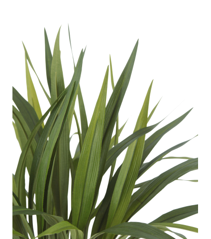 Chlorophytum artificiel vert