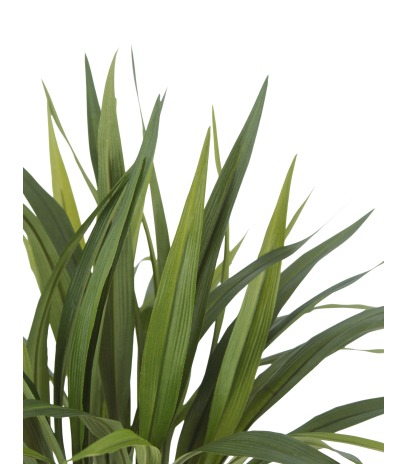 Chlorophytum artificiel vert