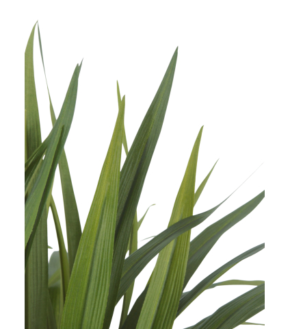 Chlorophytum artificiel vert