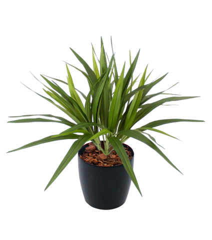 Chlorophytum artificiel vert